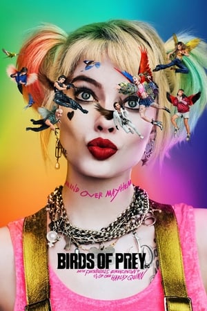 Birds of Prey (2020) Hindi (ORG) Dual Audio 450MB HD Poster Download - filmyfly