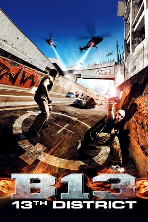 District B13 (2004) Hindi Dual Audio 300MB