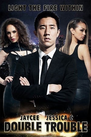 Double Trouble (2012) Hindi Dual Audio 400MB