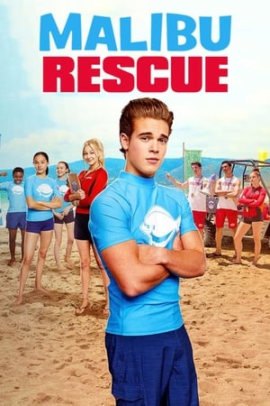 Malibu Rescue (2019) Hindi Dual Audio [1.4GB]