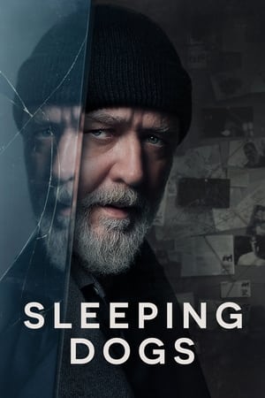 Sleeping Dogs (2024) Hindi Dual Audio – 720p – HD Poster Download - filmyfly