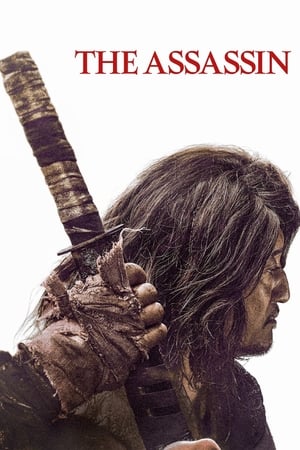 The Assassin 2023 Hindi Dual Audio – HD Poster Download - filmyfly