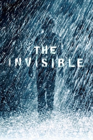 The Invisible 2007 Hindi Dual Audio 300MB HD Poster Download - filmyfly