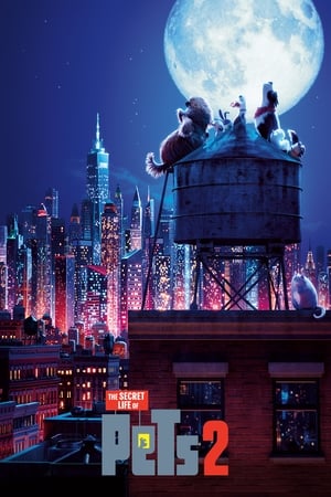 The Secret Life of Pets 2 (2019) Hindi (Original) Dual Audio [850MB] HD Poster Download - filmyfly