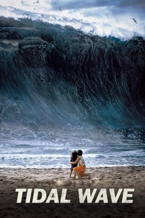 Tidal Wave (2009) Hindi Dual Audio Movie [160MB] HD Poster Download - filmyfly