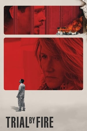 Trial by Fire 2018 Hindi Dual Audio 400MB HD Poster Download - filmyfly