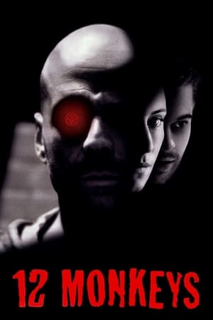 Twelve Monkeys (1995) Hindi Dual Audio Movie - 880MB